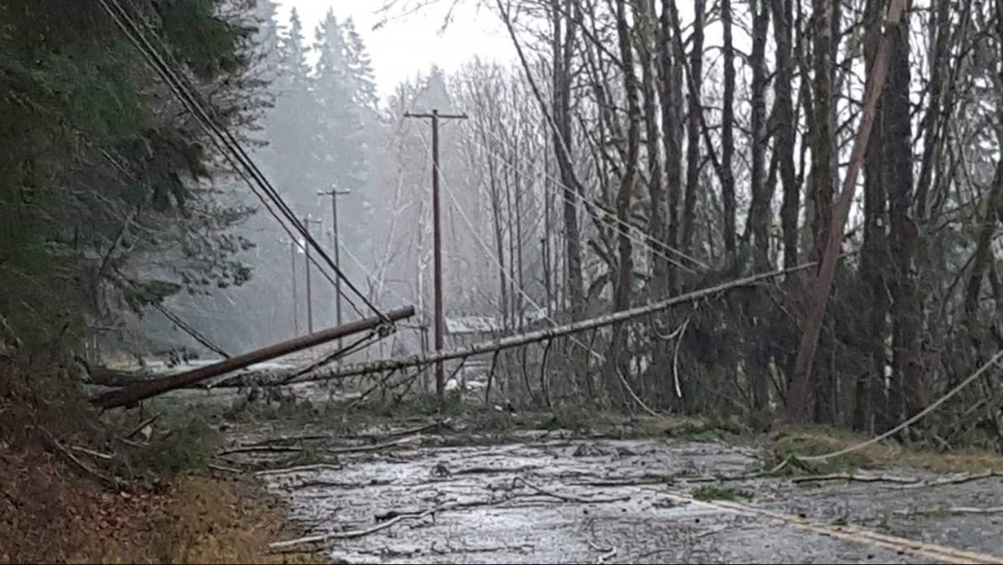 BC Storm: Winds to hit Metro Vancouver