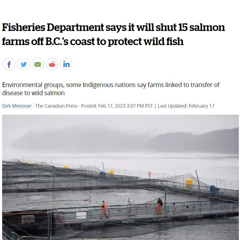 Fisheries Department says it will shut 15 salmon farms off B.C.’s coast to protect wild fish