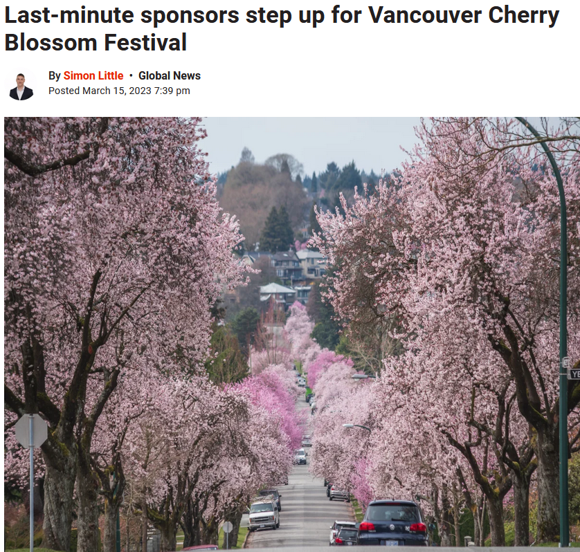 Last-minute sponsors step up for Vancouver Cherry Blossom Festival