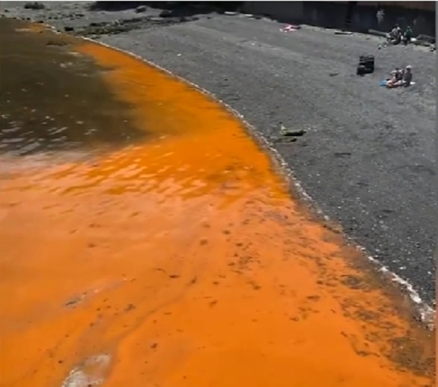 Orange water in Maple Bay likely a harmless phytoplankton bloom