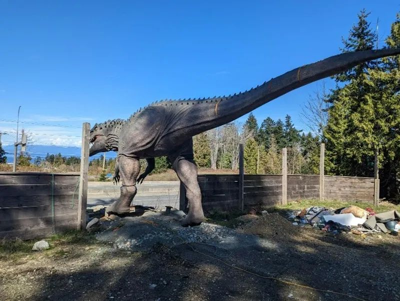 溫哥華島被恐龍和歡樂佔領