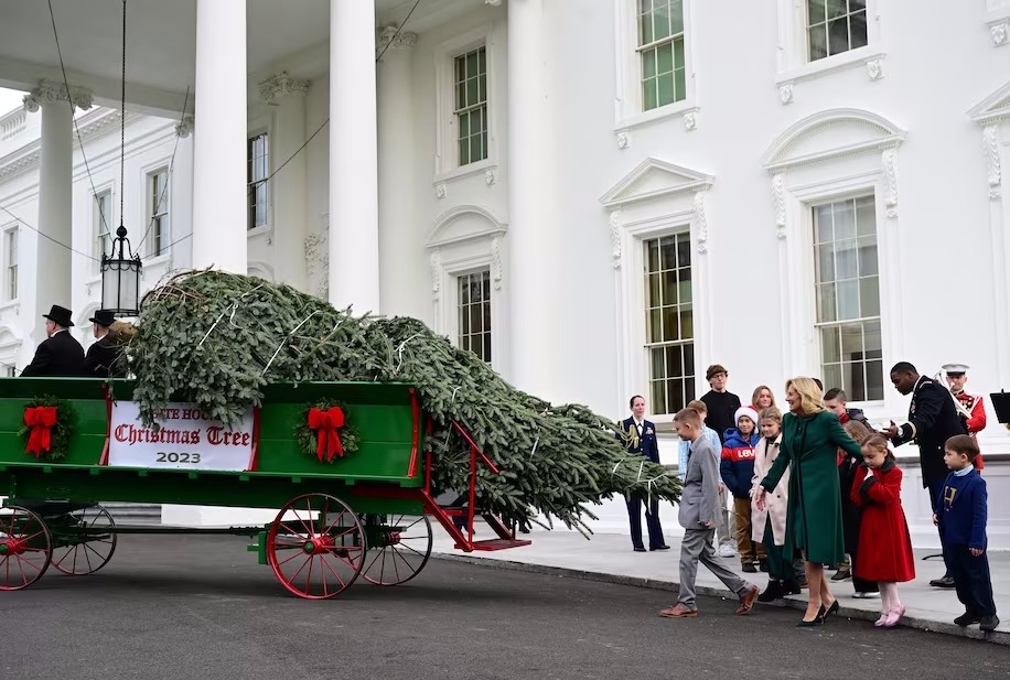 Picking the White House Christmas tree is all about height, sight and light