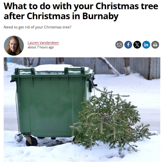 What to do with your Christmas tree after Christmas in Burnaby