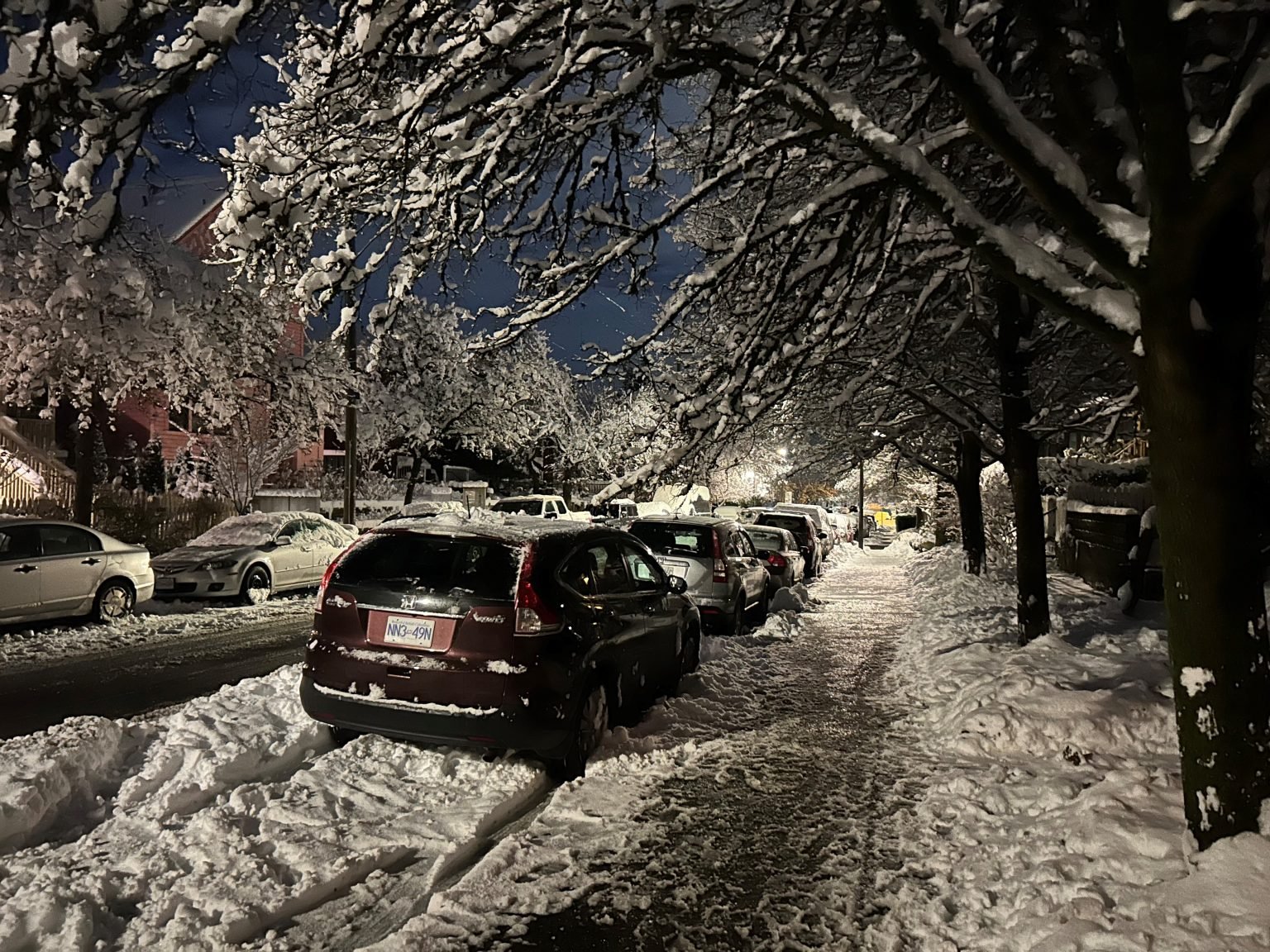 Lower Mainland cleans up after record-setting snowstorm hits region