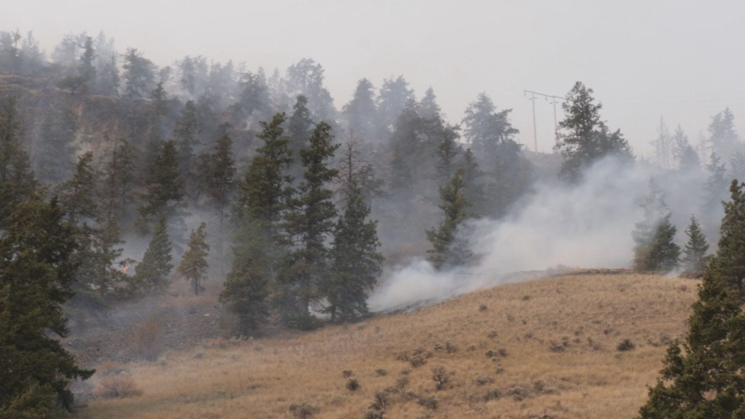 BC wildfires: concerns as lightning storms spark new fires