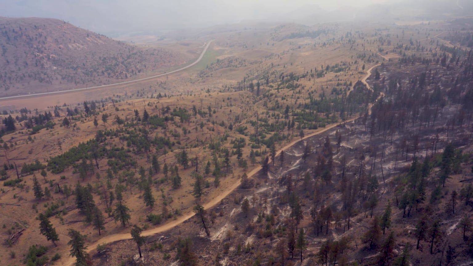 Lower Mainland rain won’t do much to lower wildfire risk: meteorologist