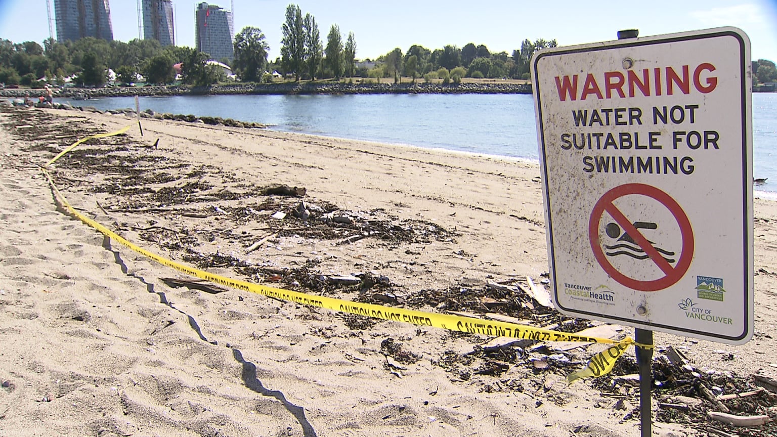 8 Metro Vancouver beaches unsafe for swimming: VCH