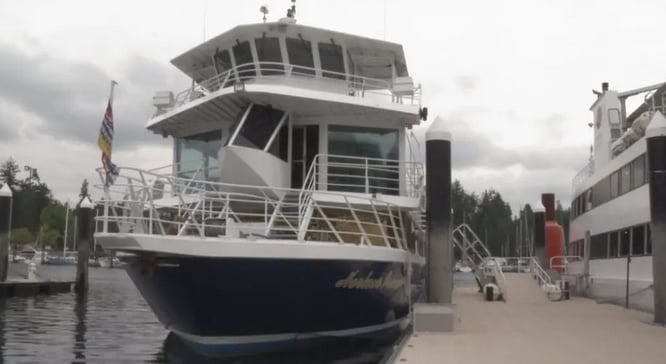 ‘I don’t understand why,’ Harbour Cruises owner says, after vessel runs aground