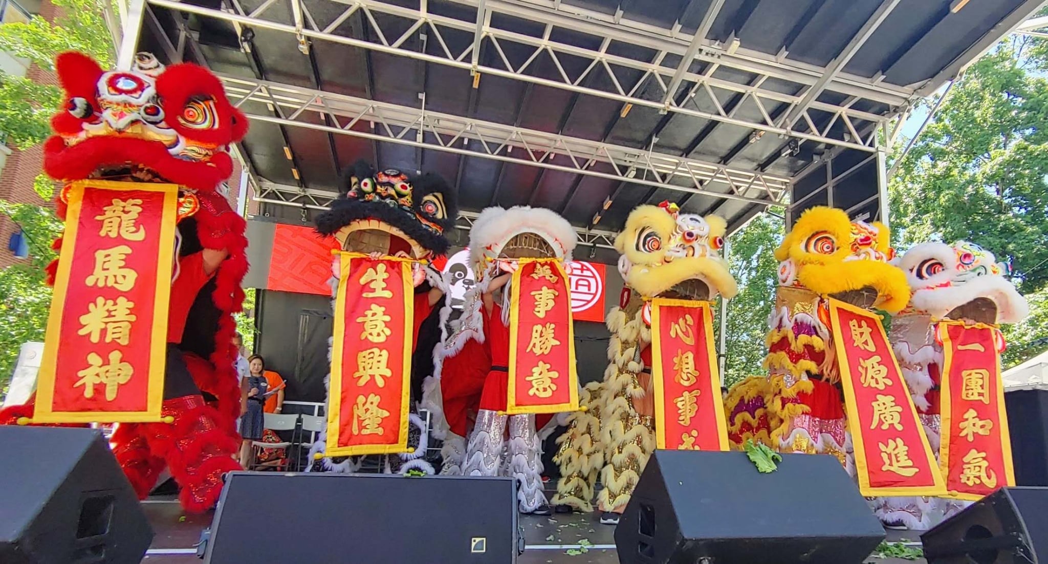 振興溫哥華華埠，真不容易