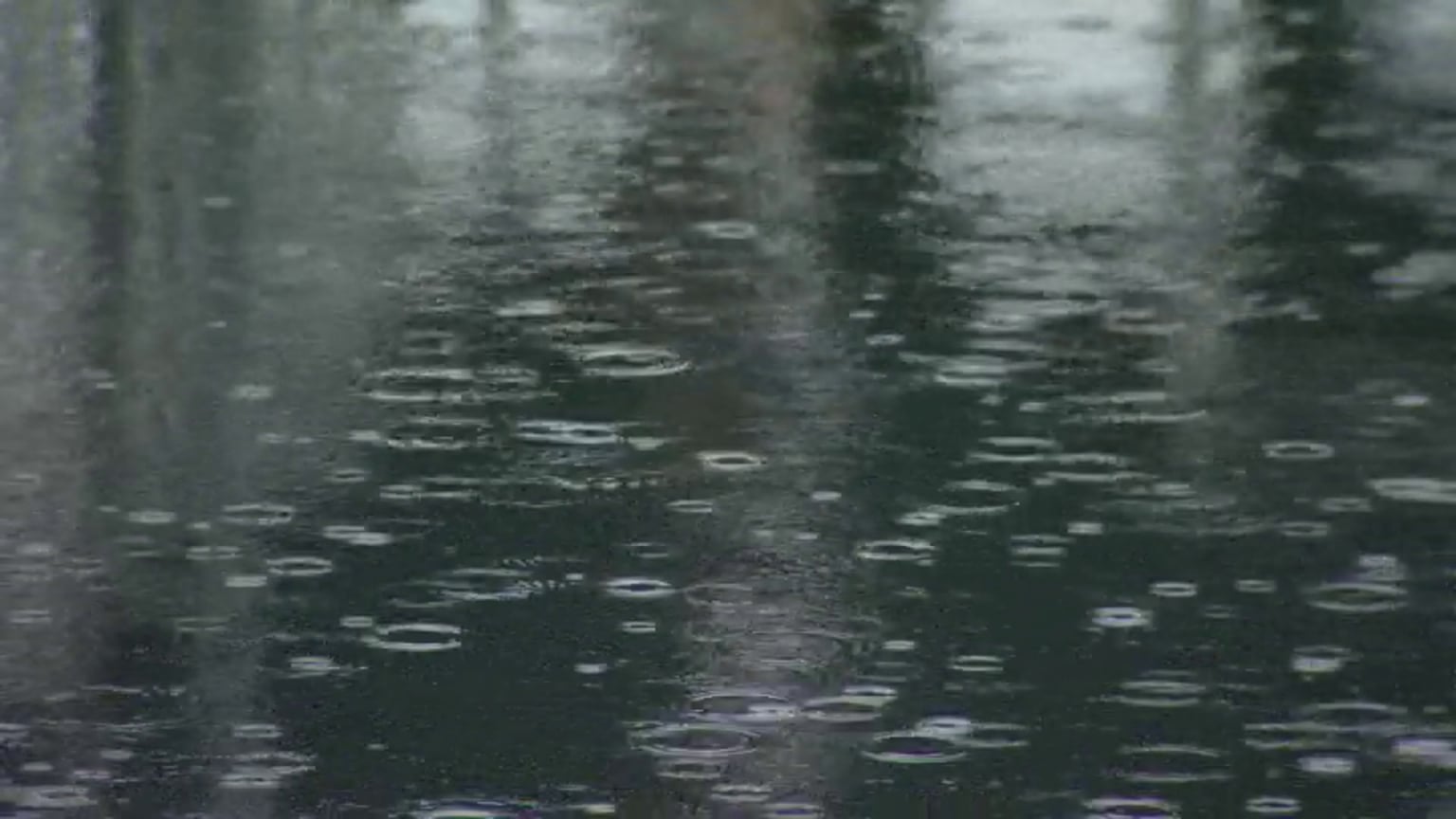 Wet weather forecast for Vancouver’s Halloween