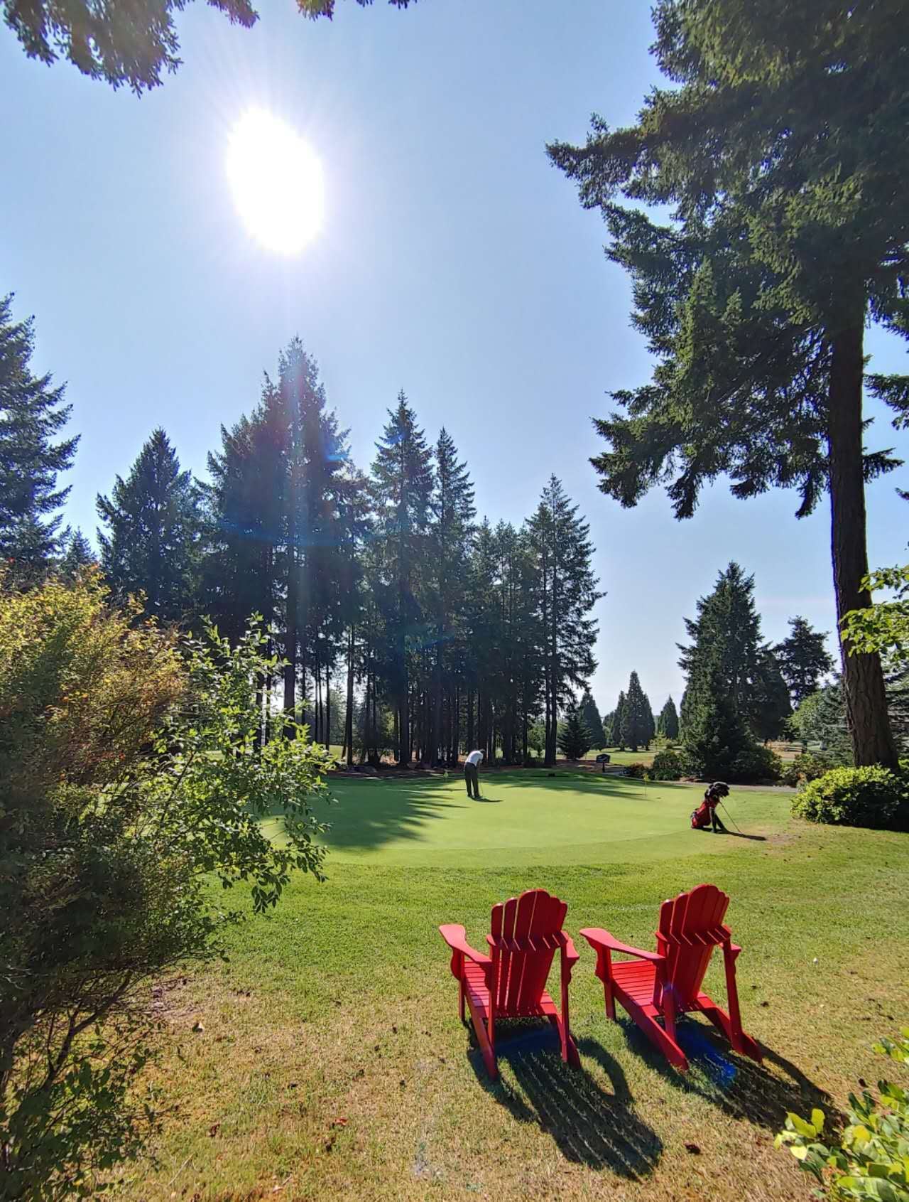 近半加人「被迫」提前退休