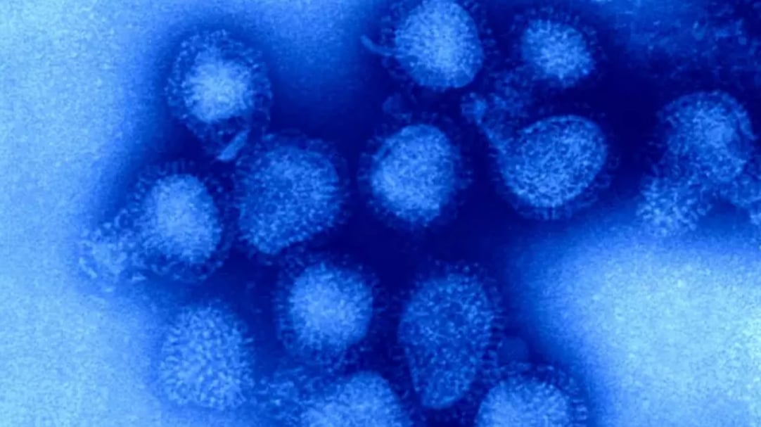 今年流感疫苗與病毒不匹配