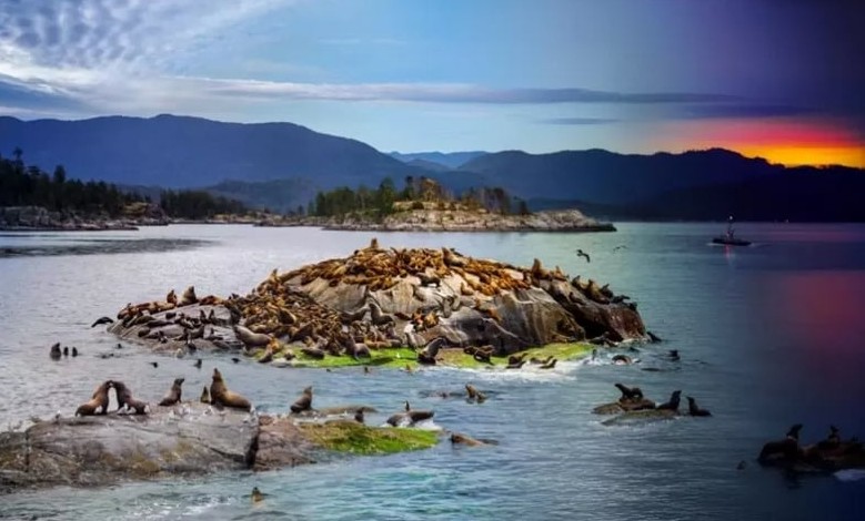 國家地理選出卑詩省美照片