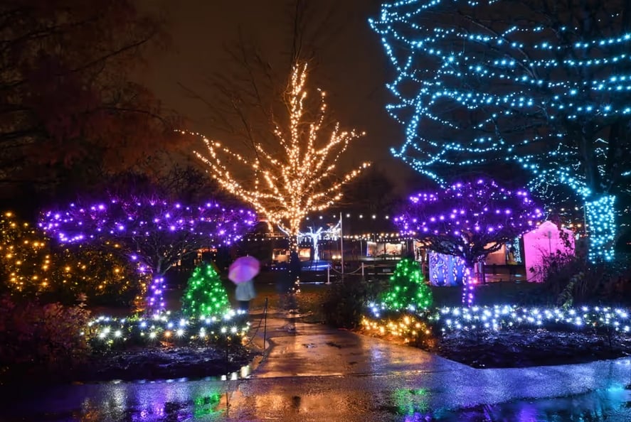 A massive free outdoor light festival is now open in Metro Vancouver