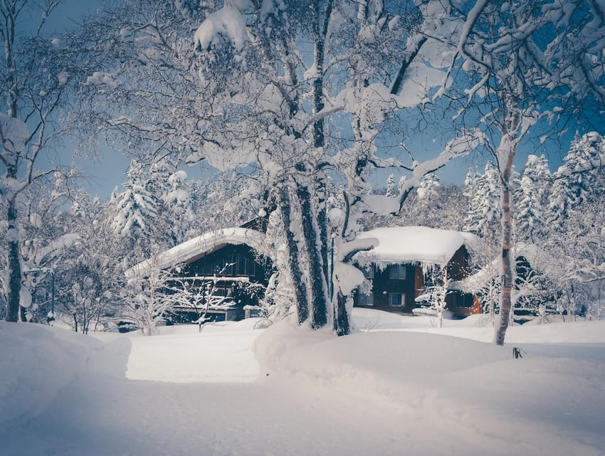 今年溫哥華會有白色聖誕嗎