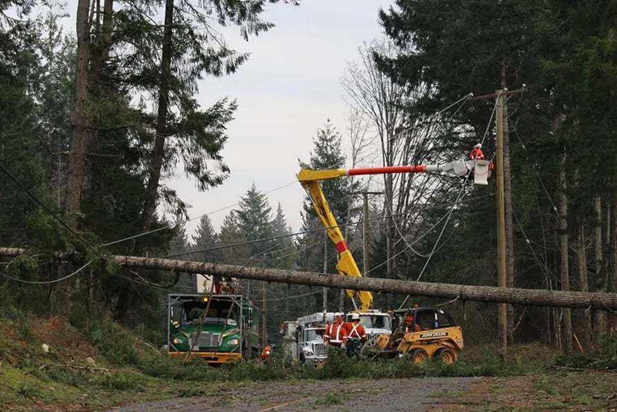Over 100,000 B.C. residents without power after wind storm batters Metro Vancouver