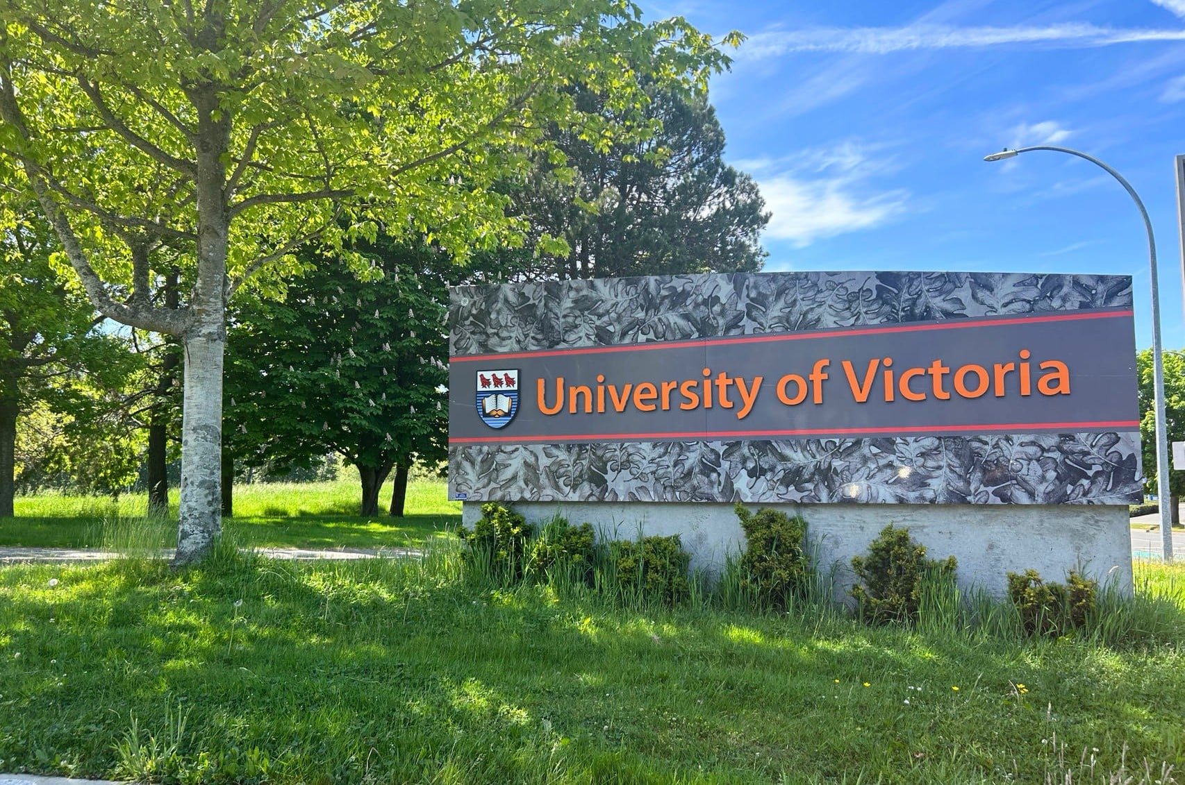 University of Victoria international student attacked, significantly injured