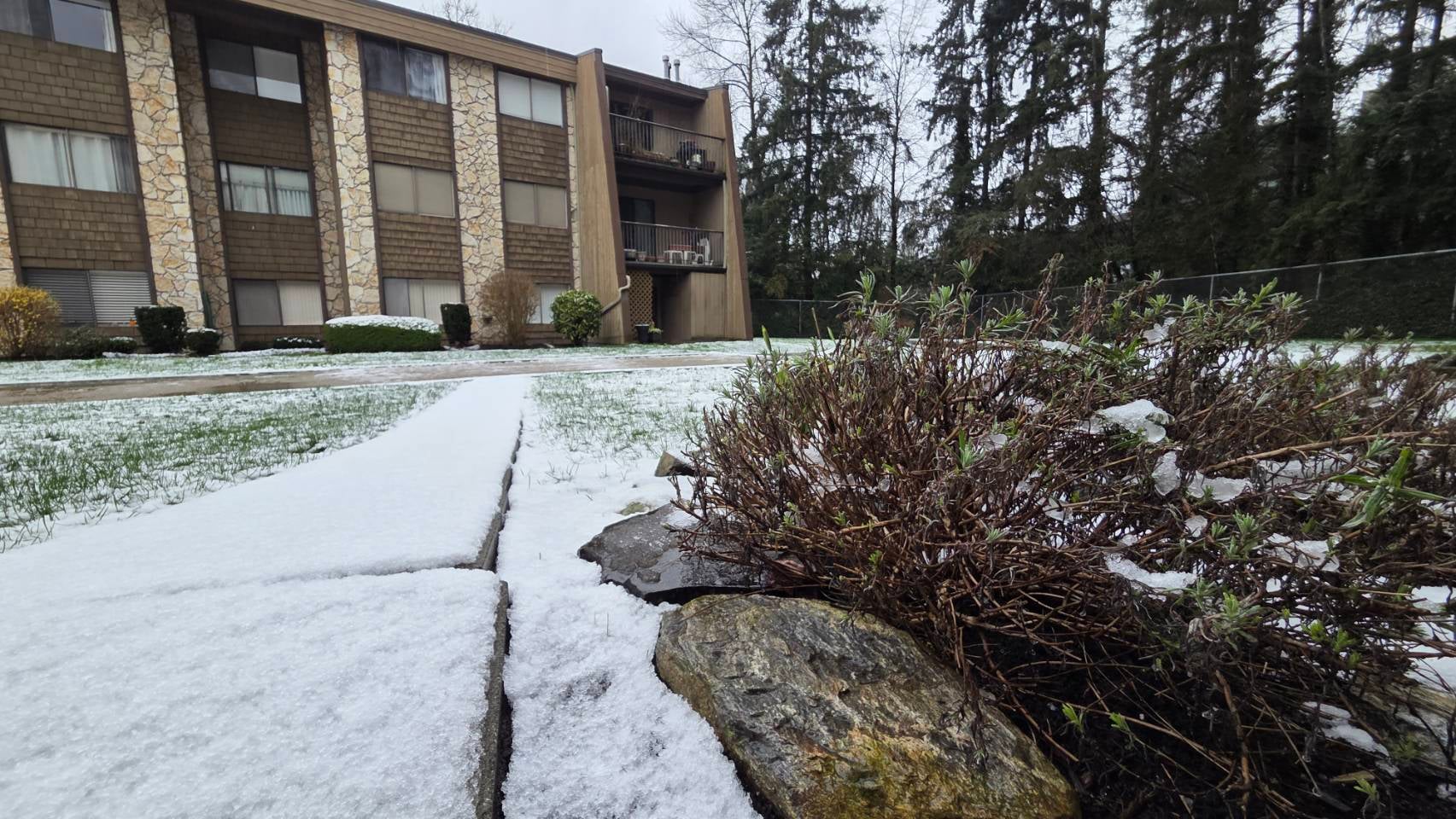 溫哥華冬天無雪或成為常態