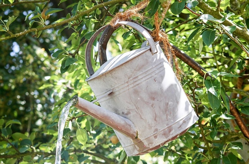 大溫居民用水將更嚴格