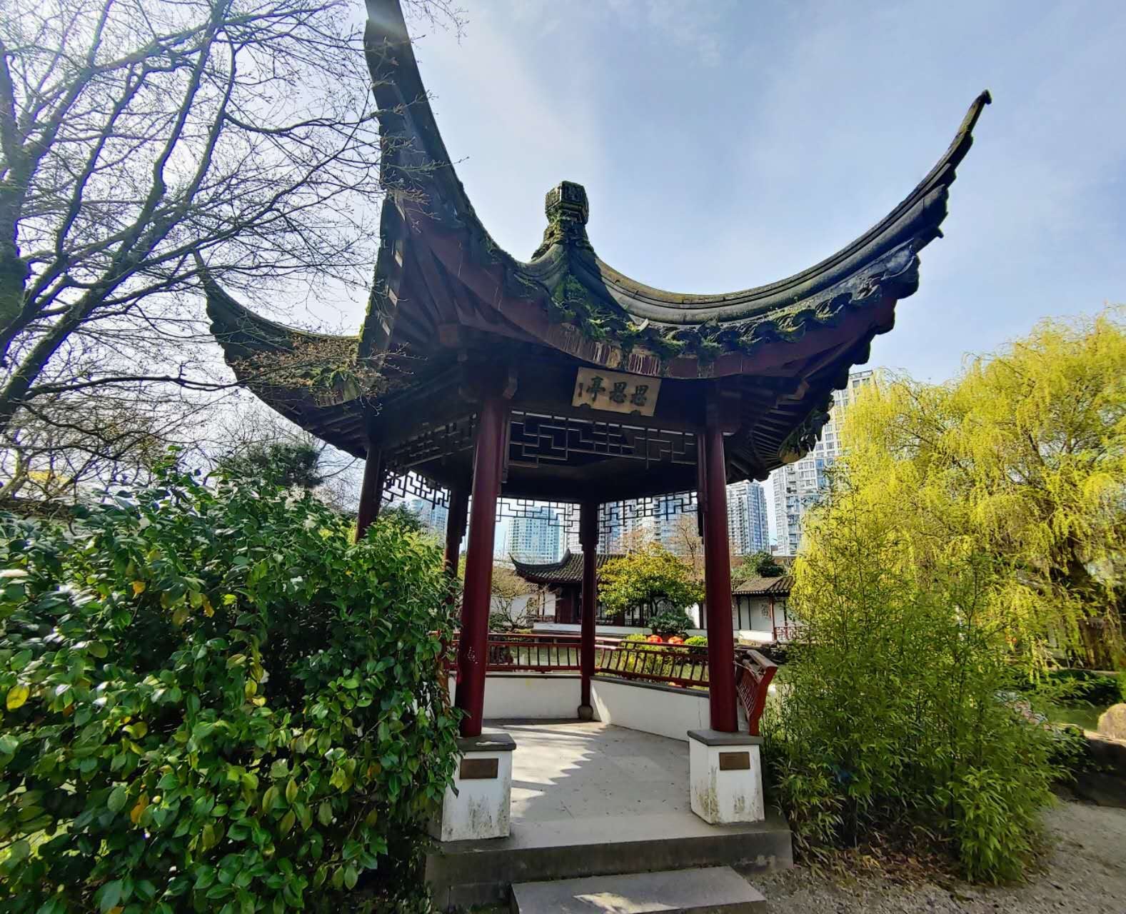 華埠中山公園逸園40周年慶