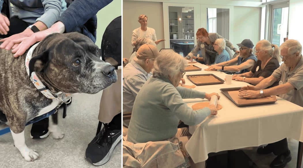 Baking dog treats helps connect Victoria seniors with memory loss to the community