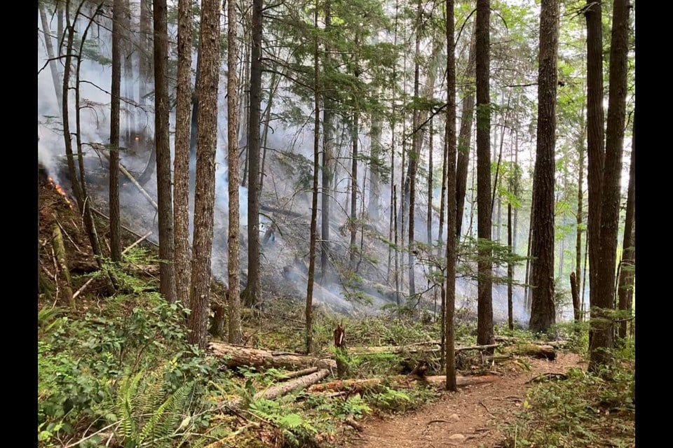 Campfire ban lifting for May long weekend; new wildfire burning near Port Alberni