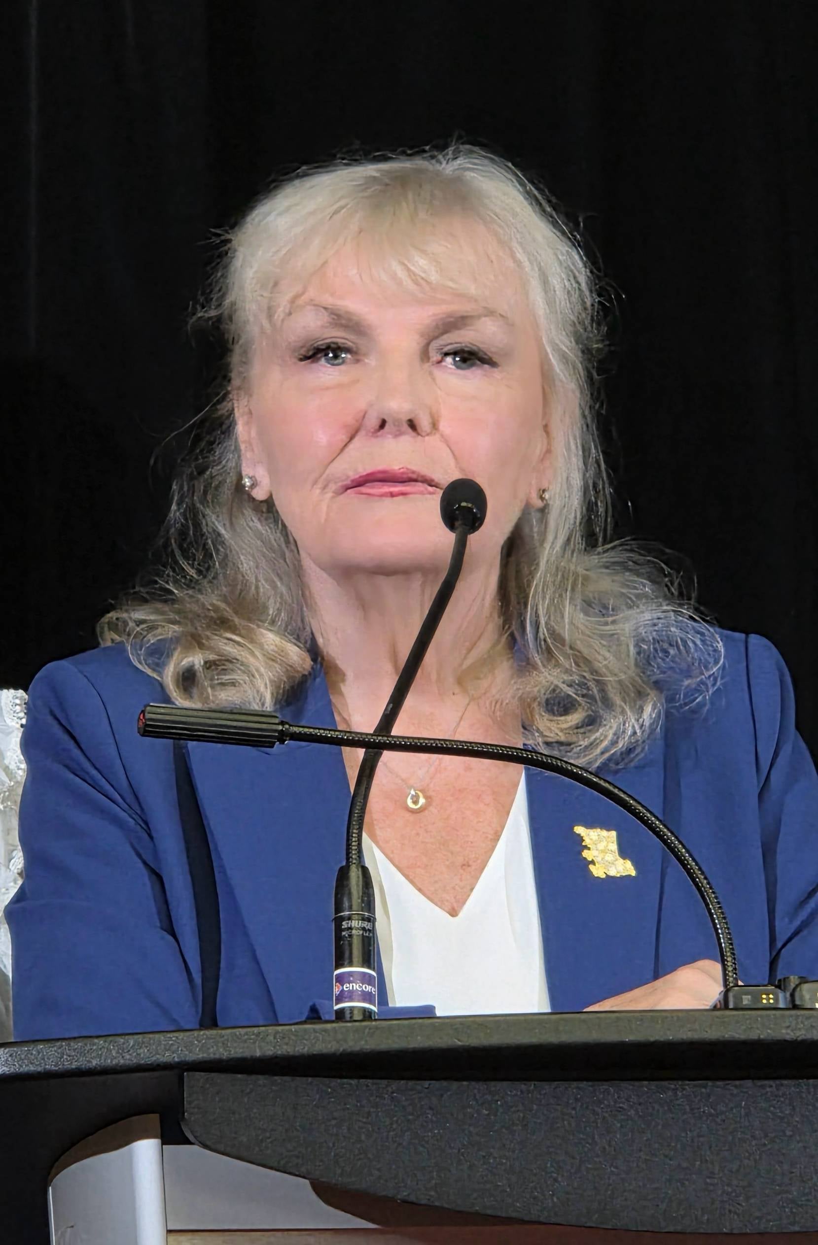 Former BC Conservative president calls private investigator probe ‘a new low’